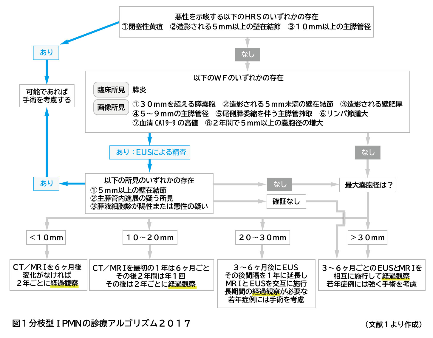 図は分枝型IPMNの診療アルゴリズム2017