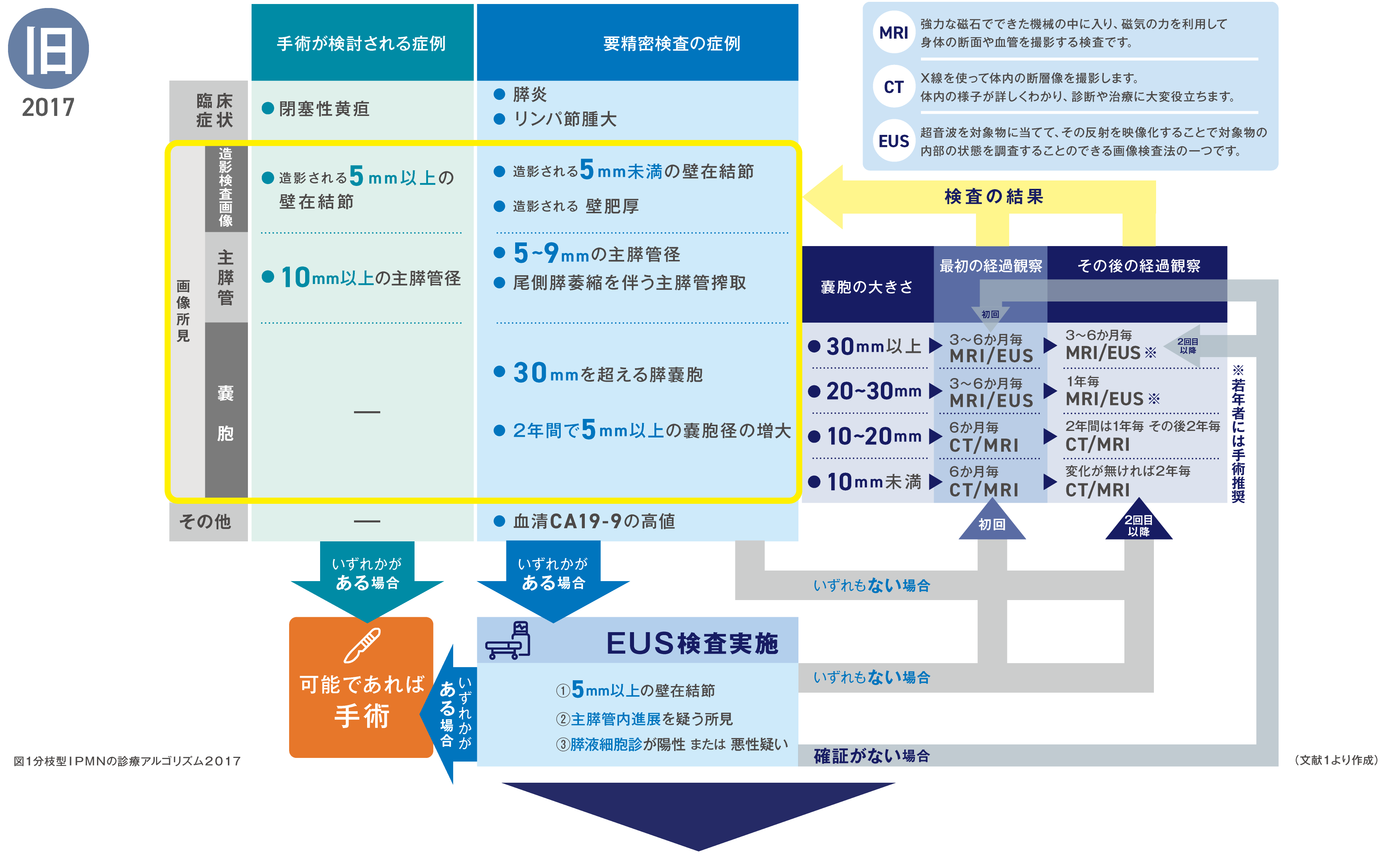図は分枝型IPMNの診療アルゴリズム2017