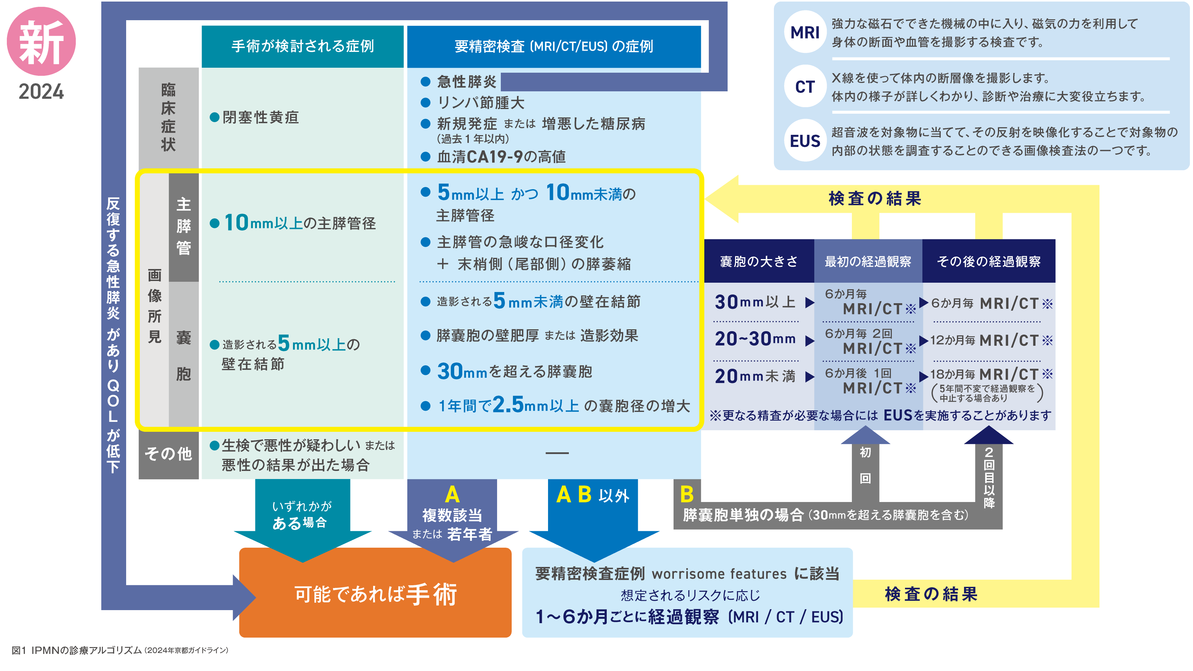 図は分枝型IPMNの診療アルゴリズム2024