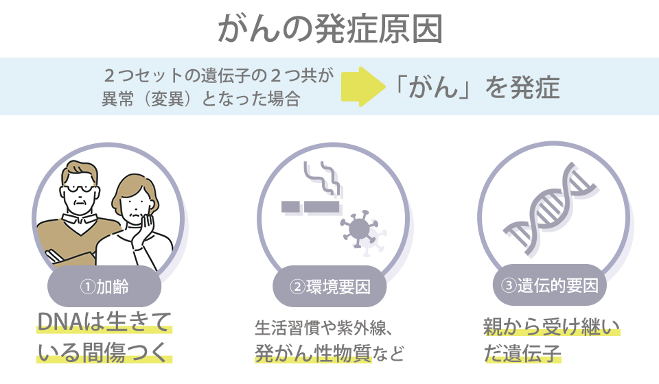 膵臓がんは男性と女性どちらに多くみられますか?